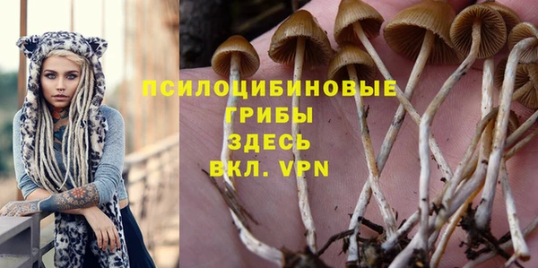 jwh Беломорск